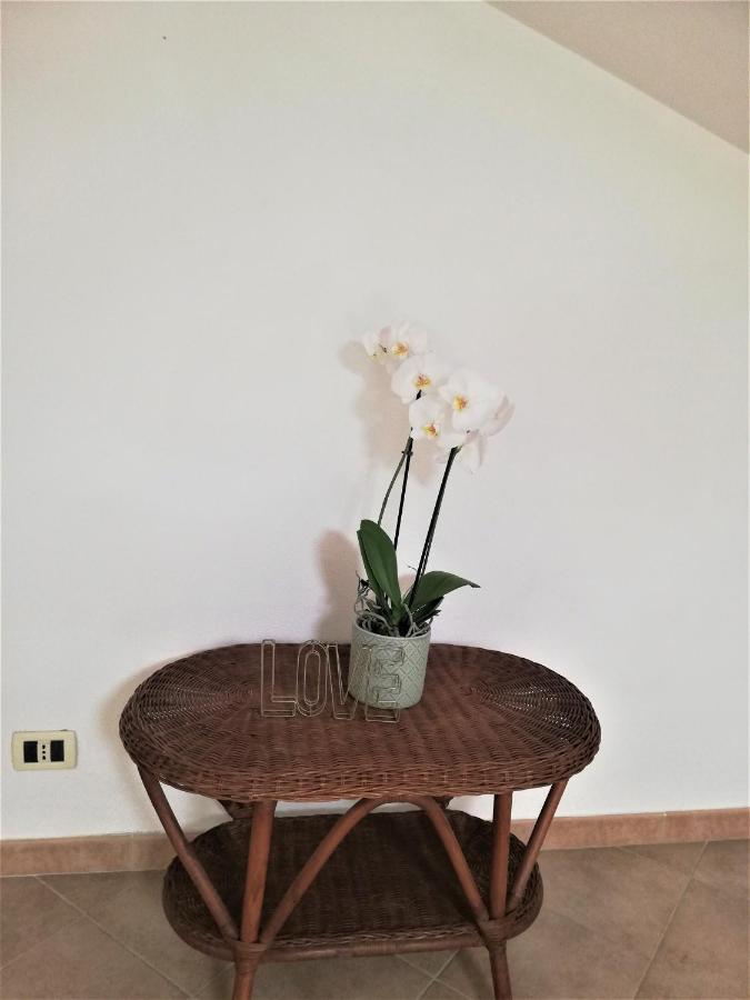 Amore Cove Apartment - Riomaggiore - 5 Terre エクステリア 写真